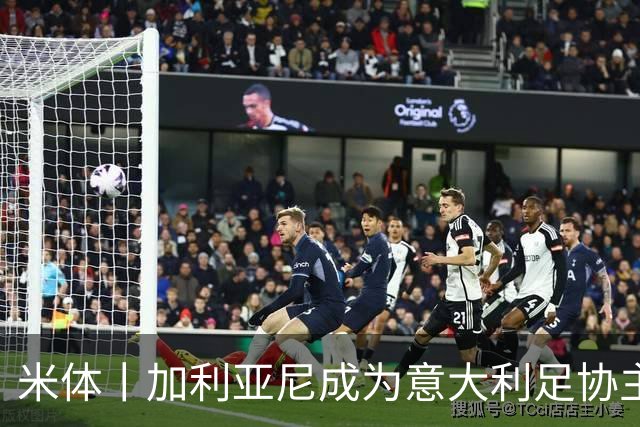 米体丨加利亚尼成为意大利足协主席热门人选